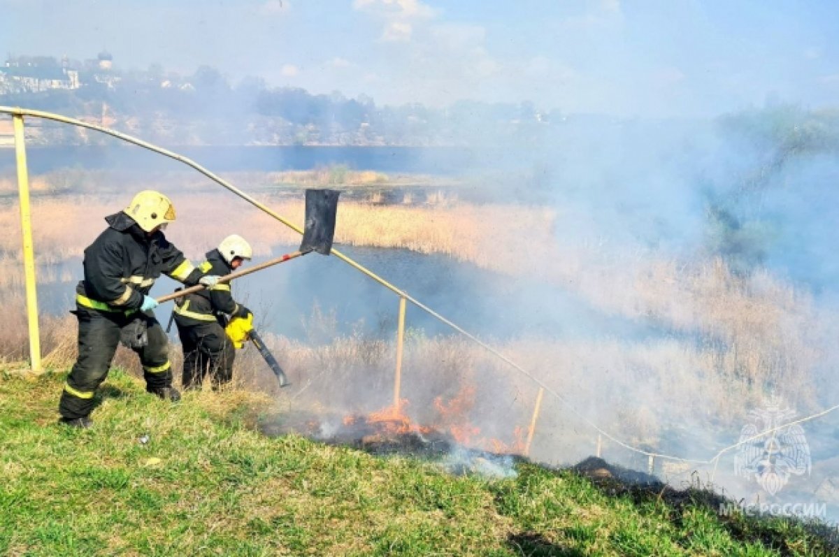   Пожарным пришлось спасать газопровод от пала травы в Псковском районе