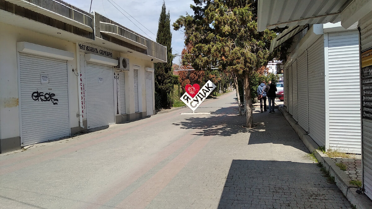 Начало Кипарисовой Аллеи. Листайте, чтобы увидеть цветущую жимолость