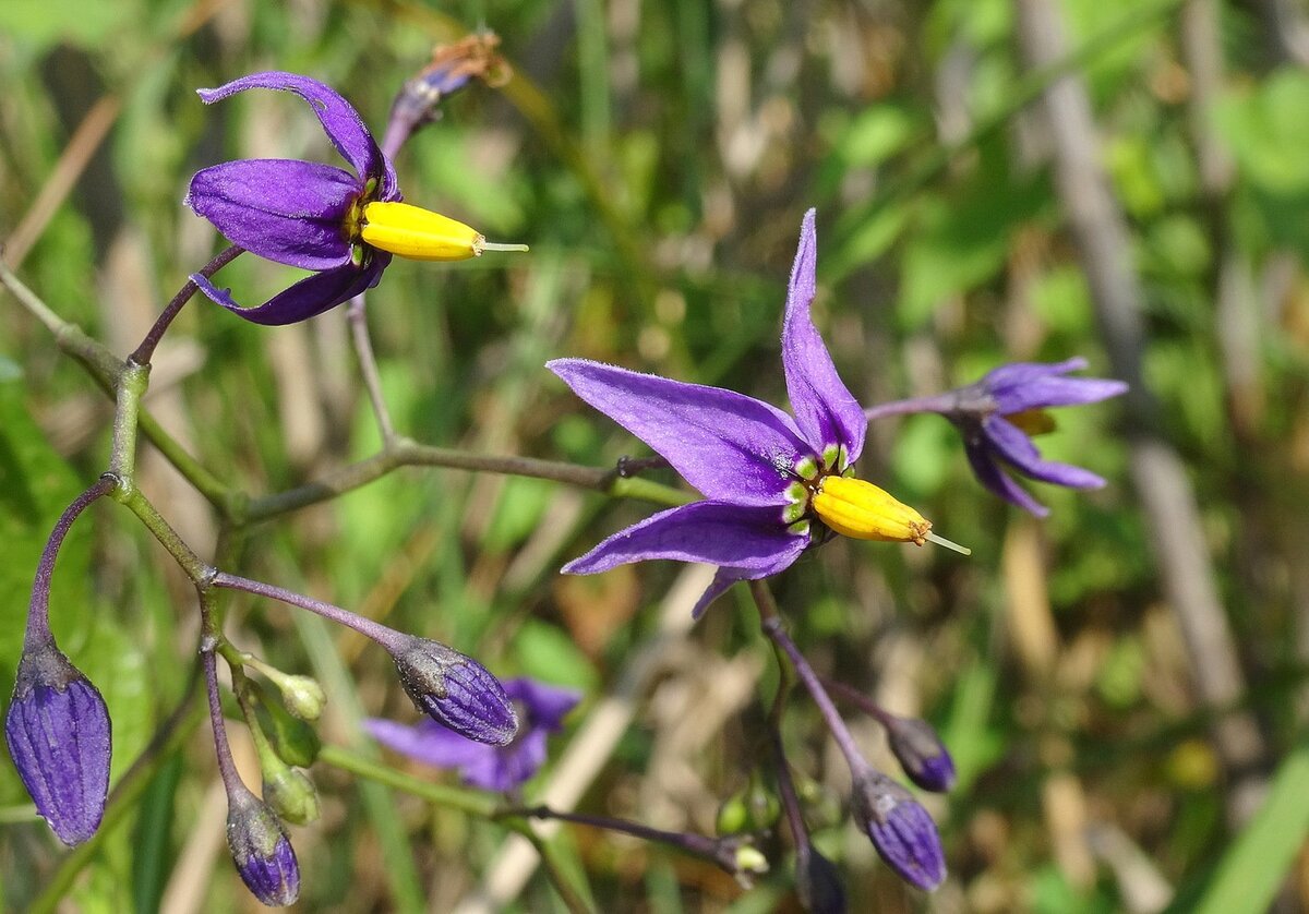 Фото из интернета.