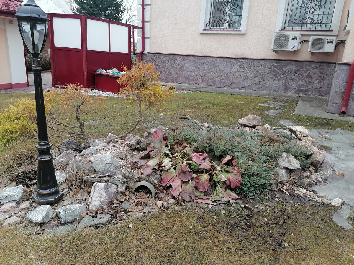 29 апреля 2023г 