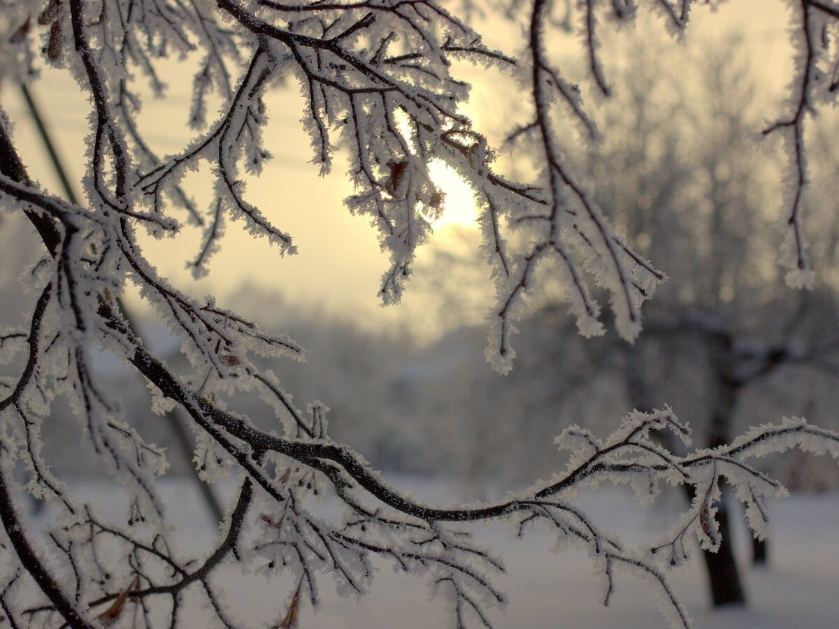 п. Синегорье, Магаданская область, апрель 2022