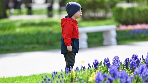    © Sputnik / Мария Амелина