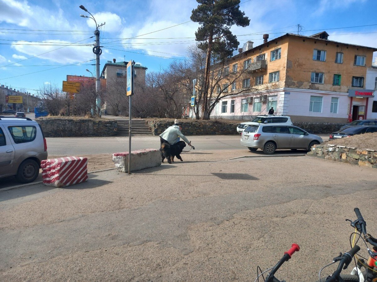 Фото: Анастасия Михайлова