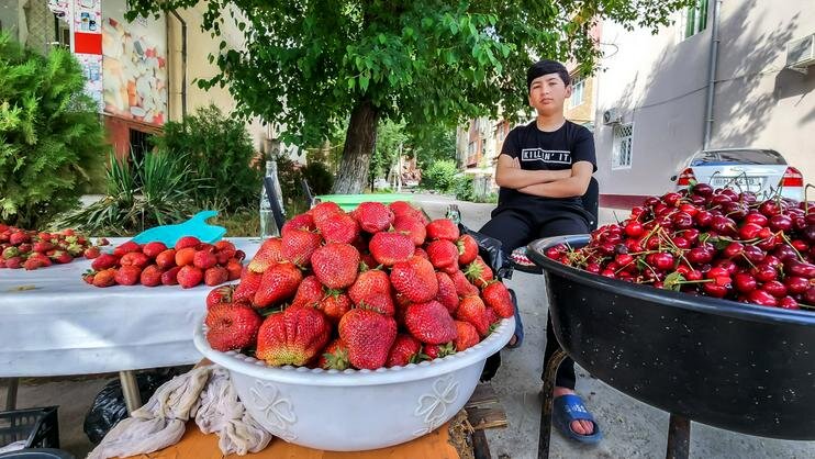 Клубника на улицах Ташкента. Фото Андрея Кудряшова / «Фергана»