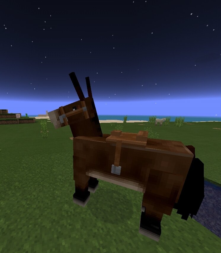 Мул с седлом