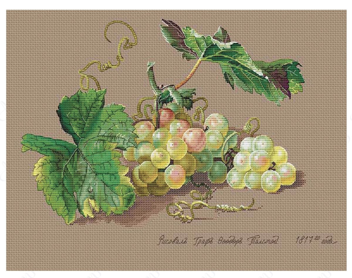 Превью схемы (фото из открытых источников). Признаюсь, доселе я не догадывалась насколько граф был одарен в художественном плане.