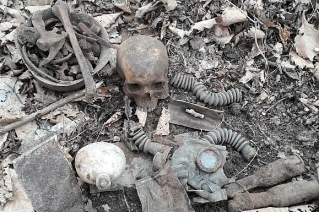    Поисковики обнаружили останки солдат. Фото: Поисковое объединение «Авиапоиск»/ Ярослав Ливанский