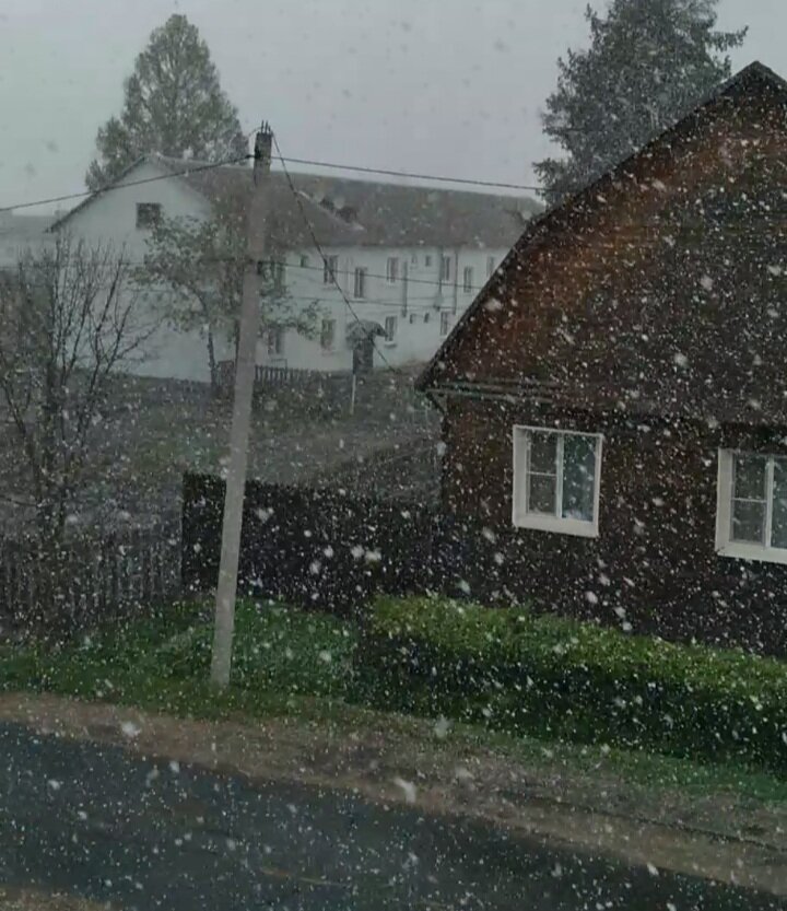 06.05.23.Сегодня. То же окно.