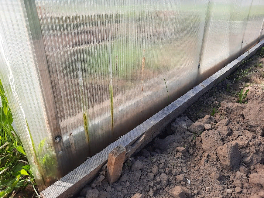 И это теплице всего лишь год!