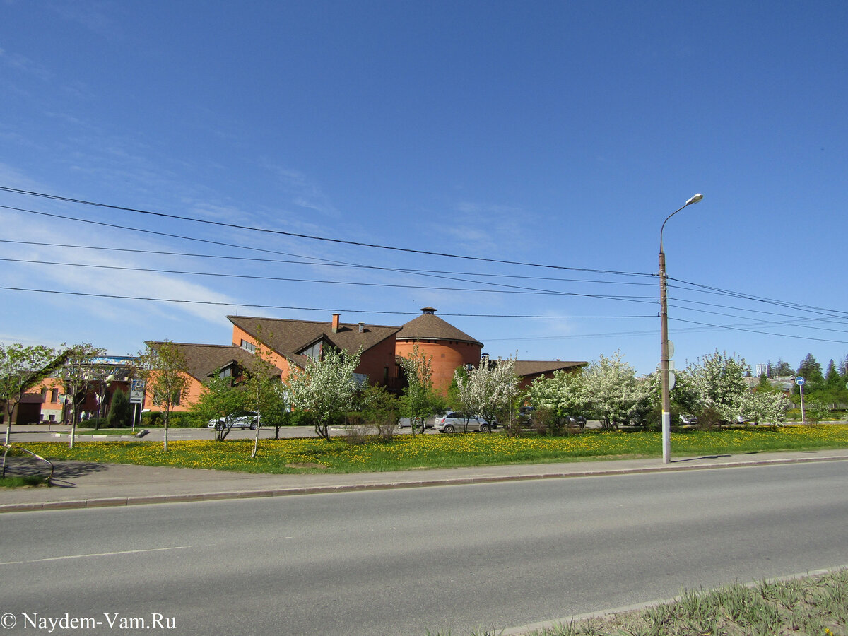 Все деревья цветут