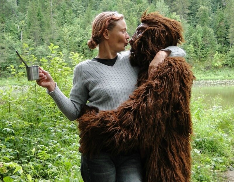 Ворвались в деревню йети...