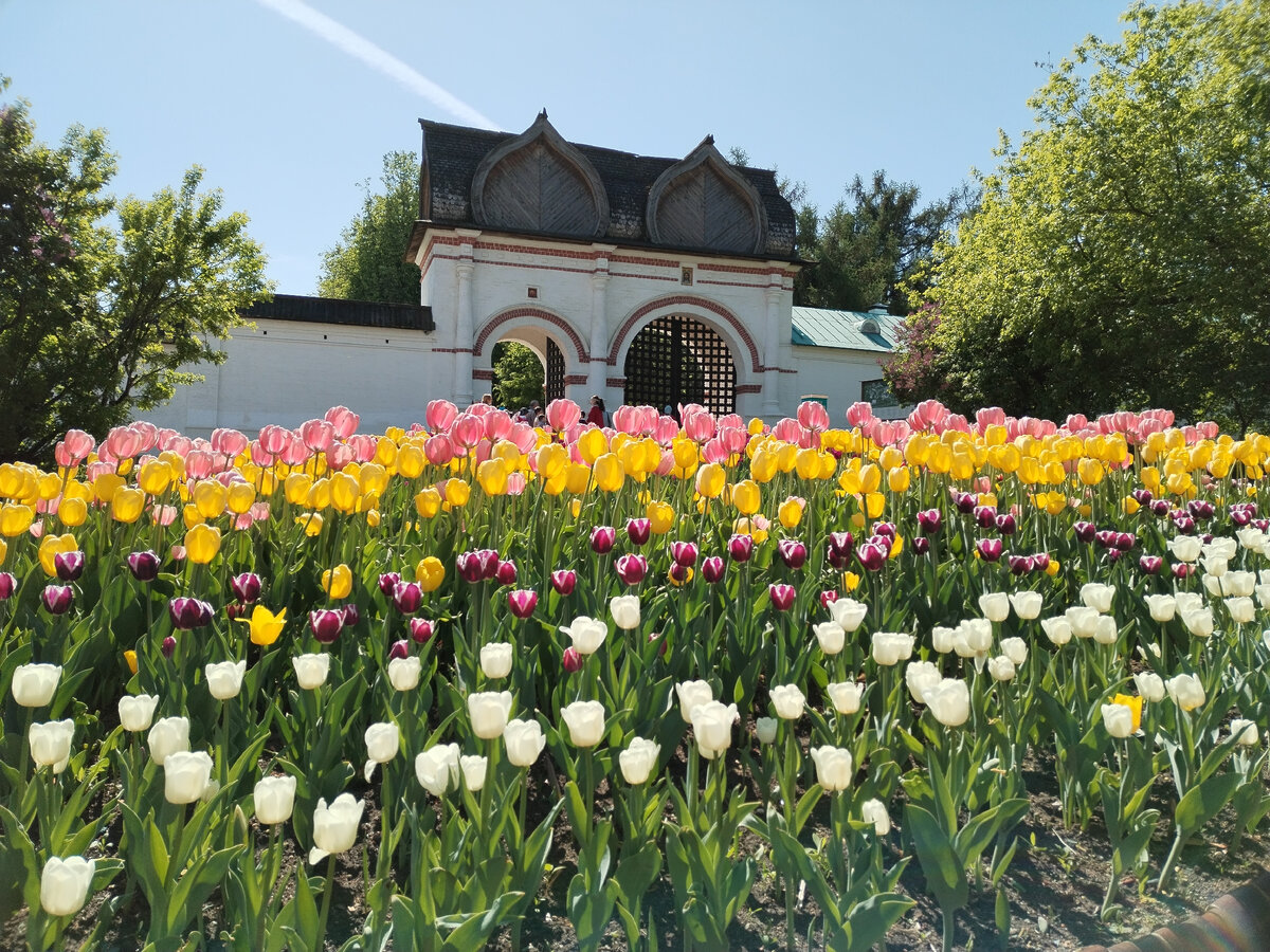 Главные ворота и какой-то безумно оптимистичный тюльпановый цветник!