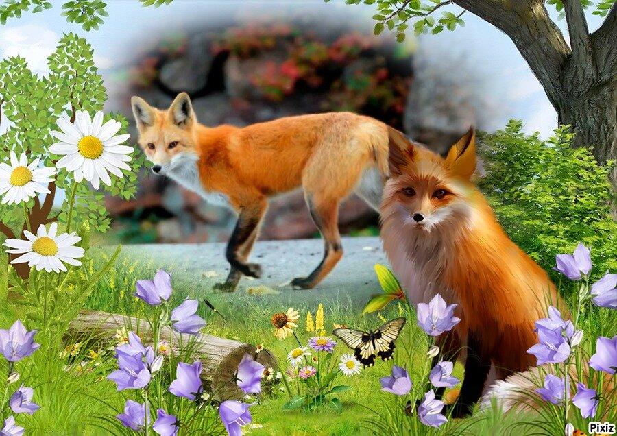 Коллаж автора