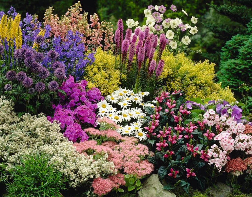 16 самых неприхотливых многолетних цветов