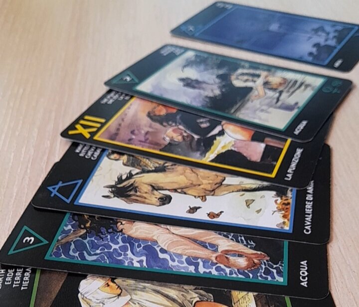 📸 фото автора 