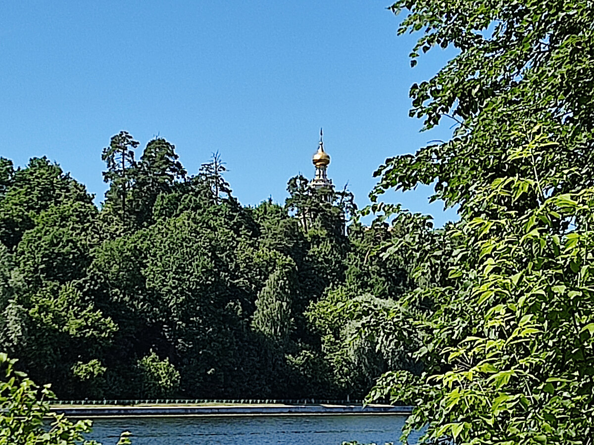 Фото с прогулки. 