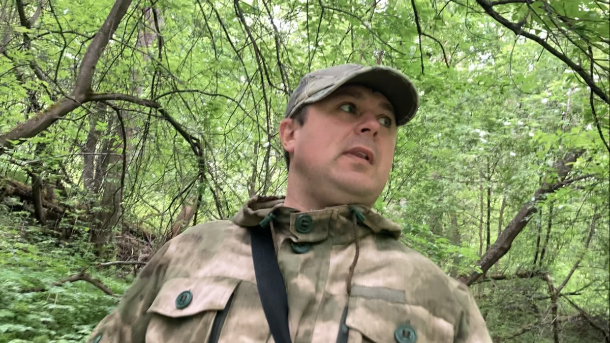 Весенний лес