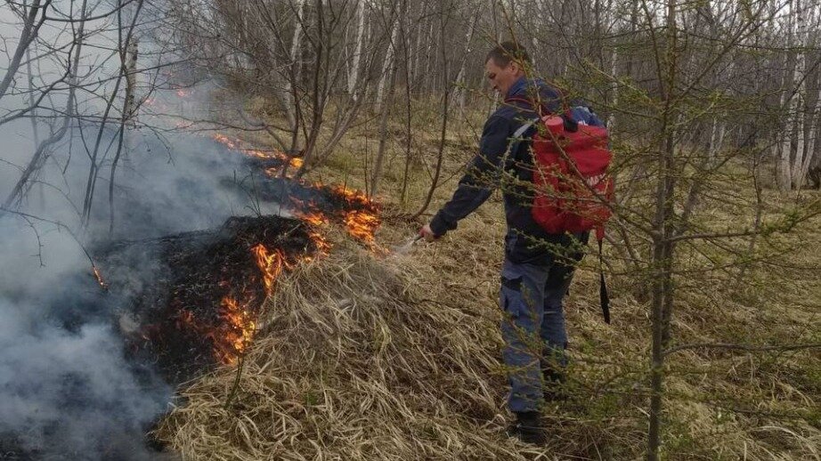     В регионе продолжает действовать особый противопожарный режим, с помощью которого власти контролируют пожарную обстановку.