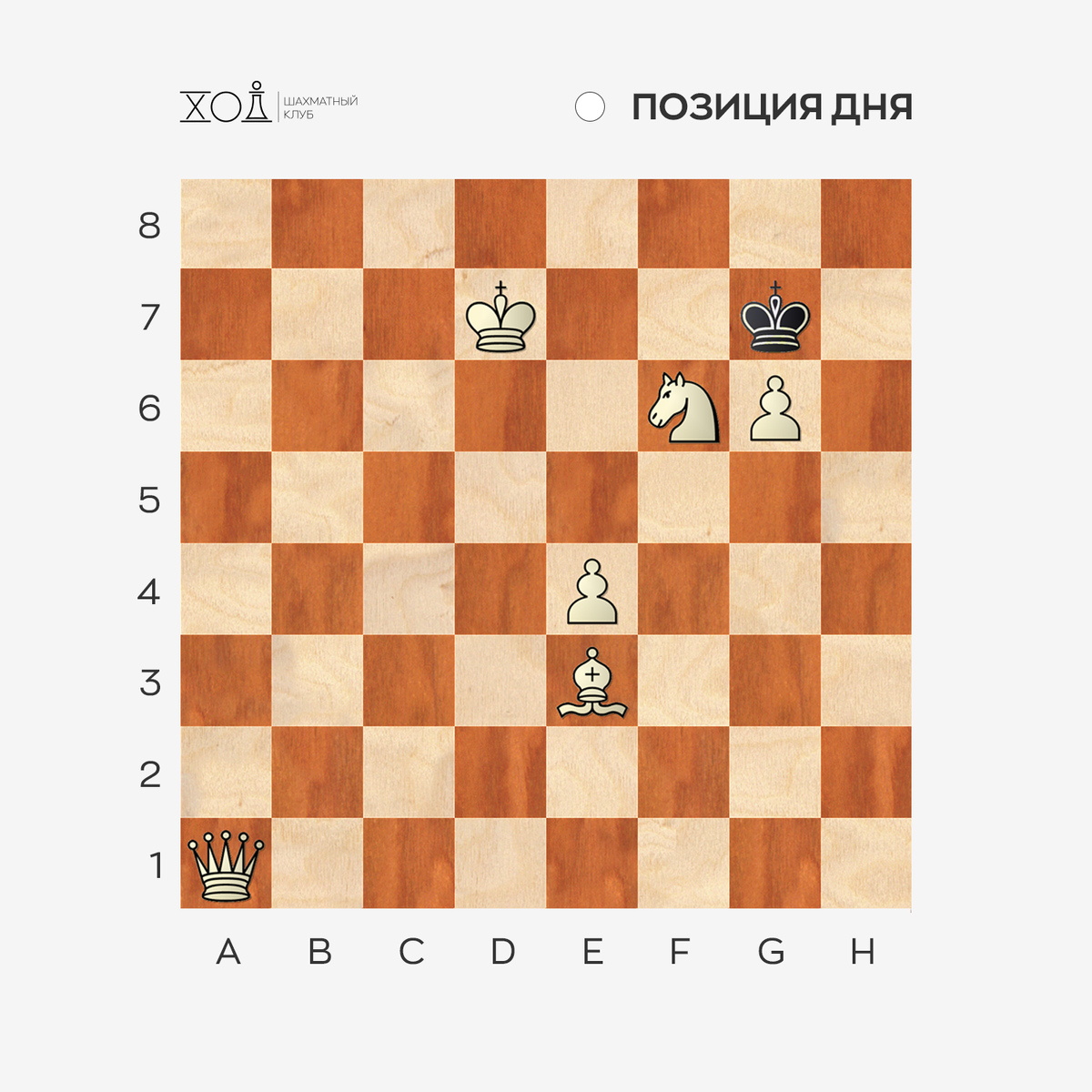 Задачи по шахматам