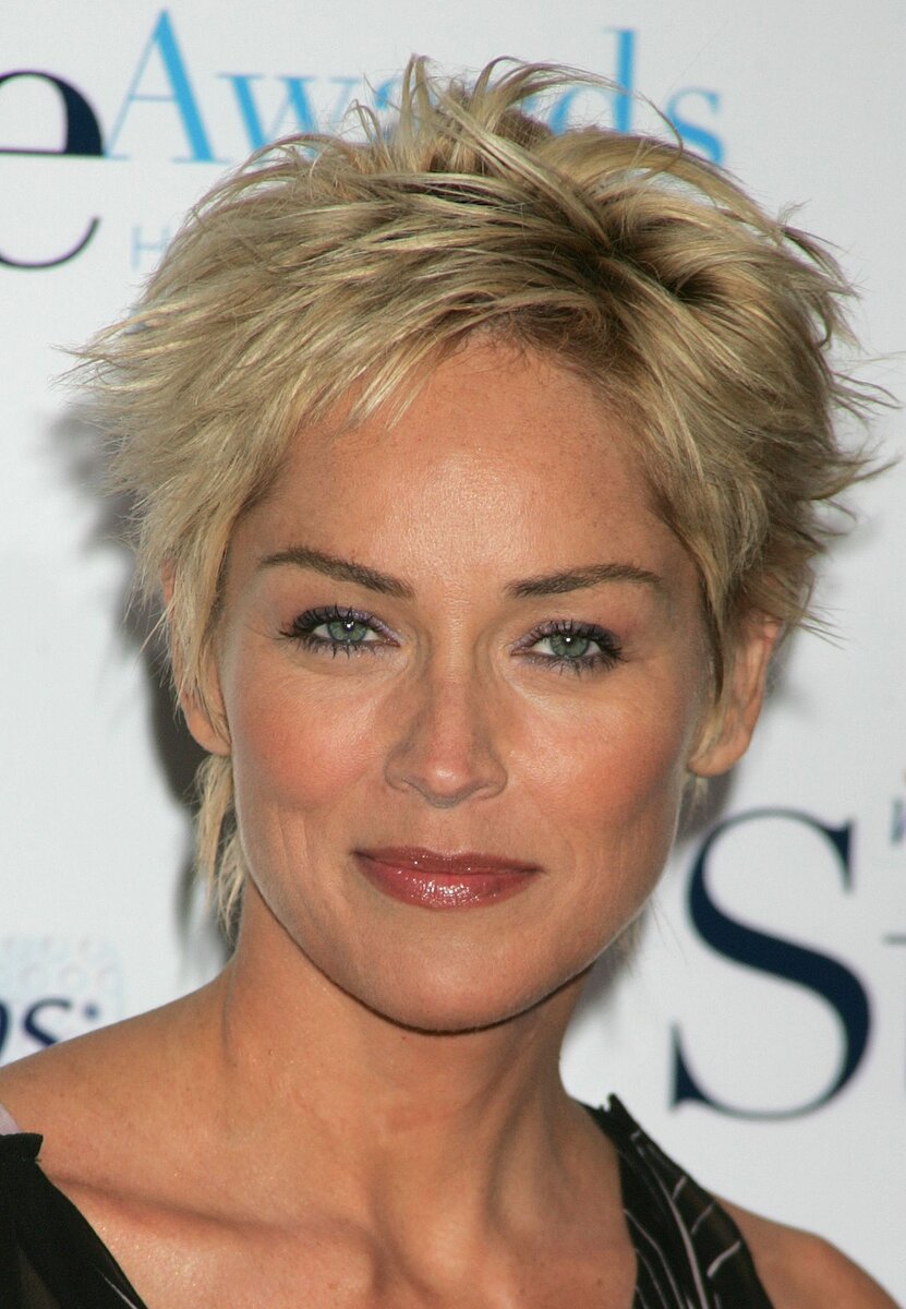 Шерон Стоун выглядит умнее некоторых политиков