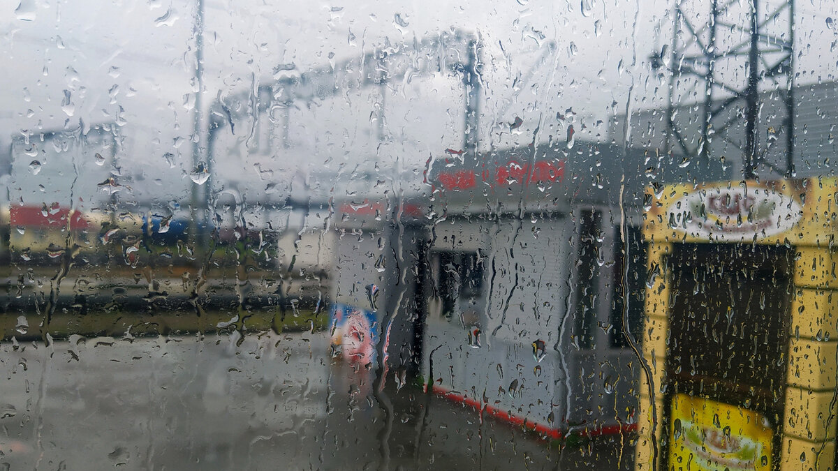 Фото автора.