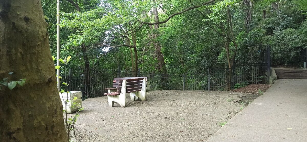 Скамейки на Терренкуре в Сочи