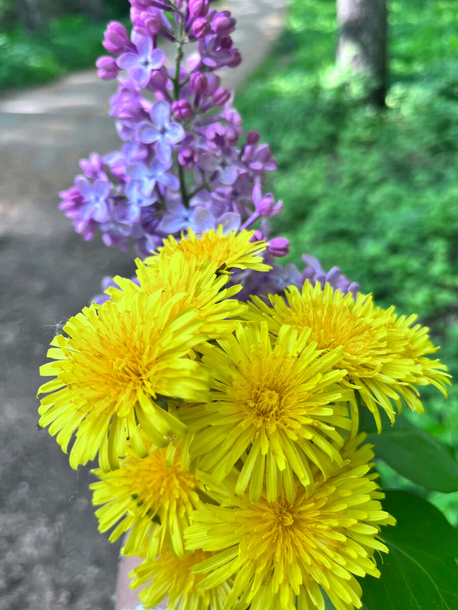 Маленький букетик, который сделал мой день! 