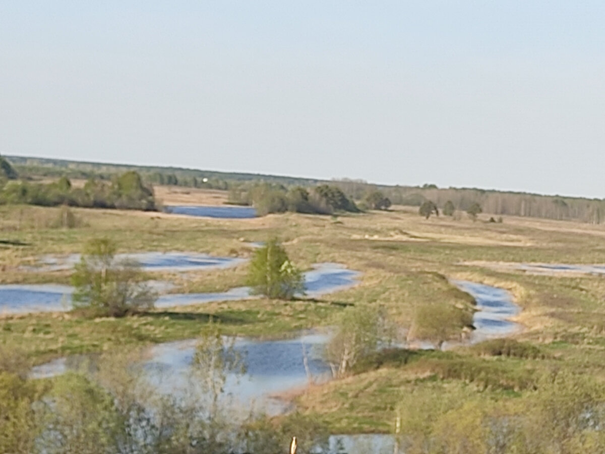 Гуляли с подругой в парке на берегу реки. 