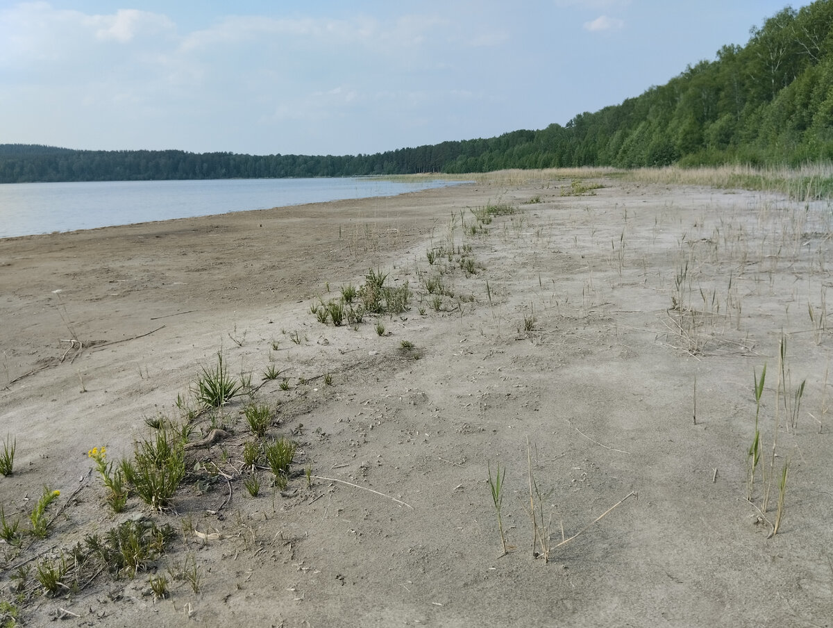 Дно озера Б.Теренкуль