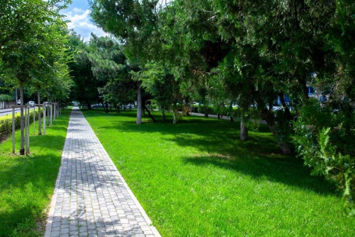    В Краснодаре в 2024 году начнут благоустраивать новый сквер «Флагманский»