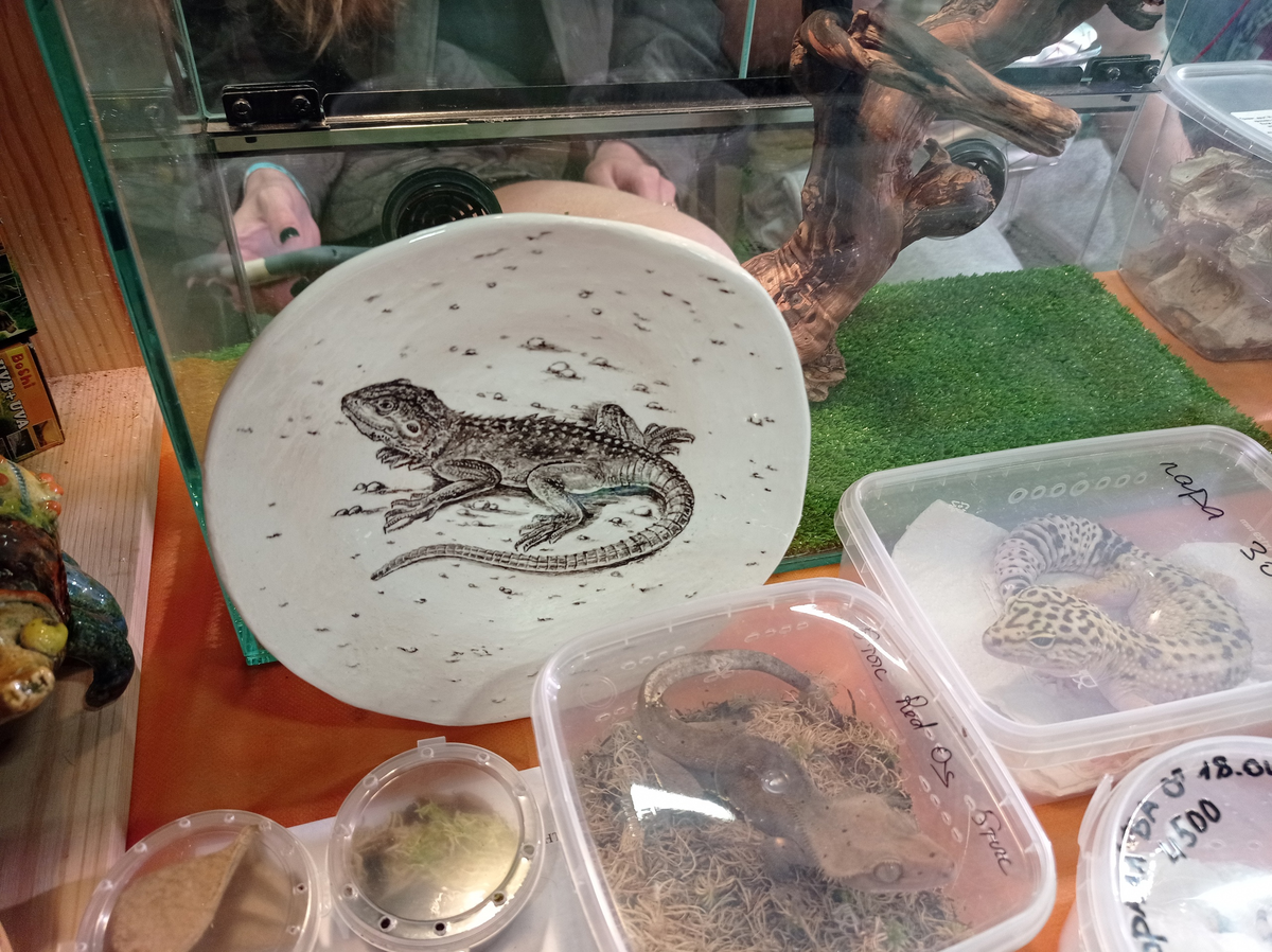 фото из официального сообщества Рептилиума ВКонтакте 