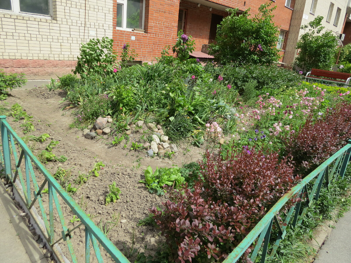 01.06.2023. Горка.