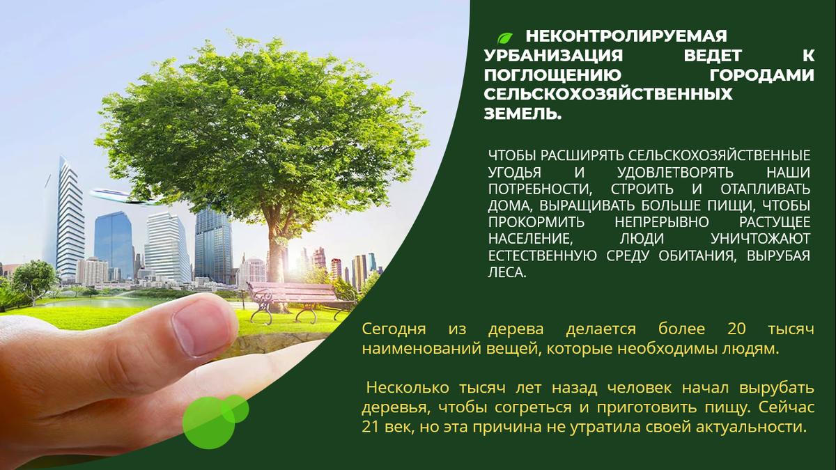 Влияние роста популяции на потребление мяса