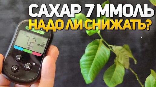 Скачать видео: САХАР 7. НАДО ЛИ СНИЖАТЬ?