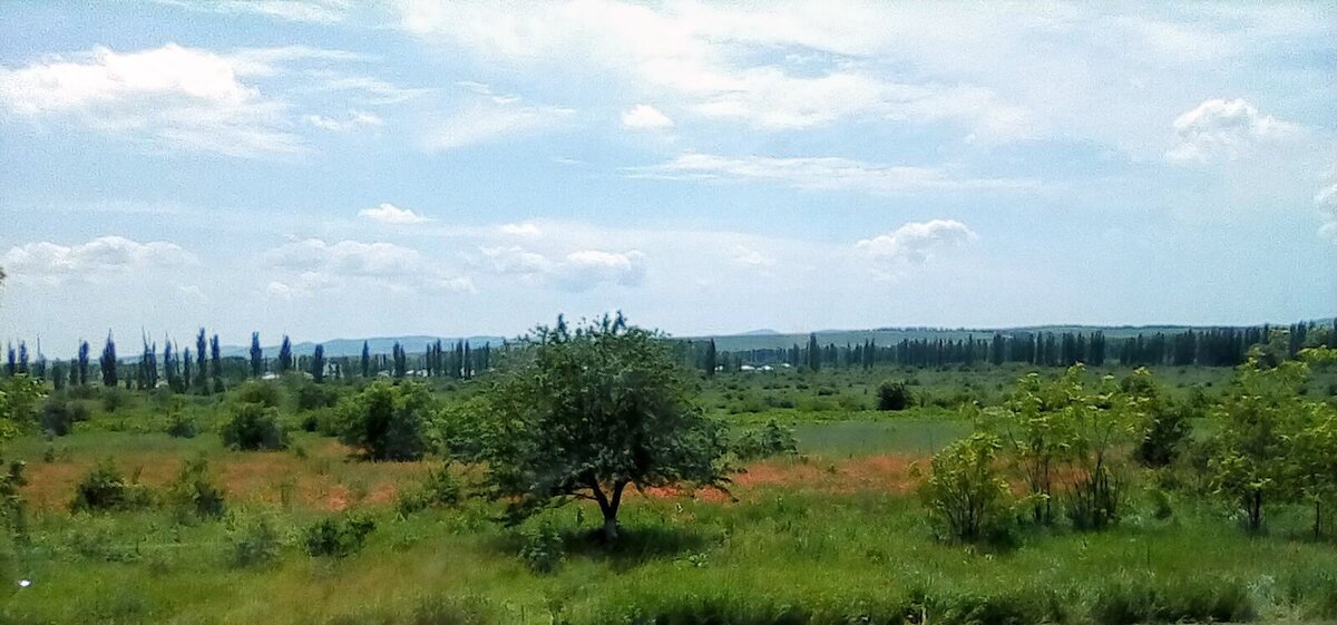 Фото автора.