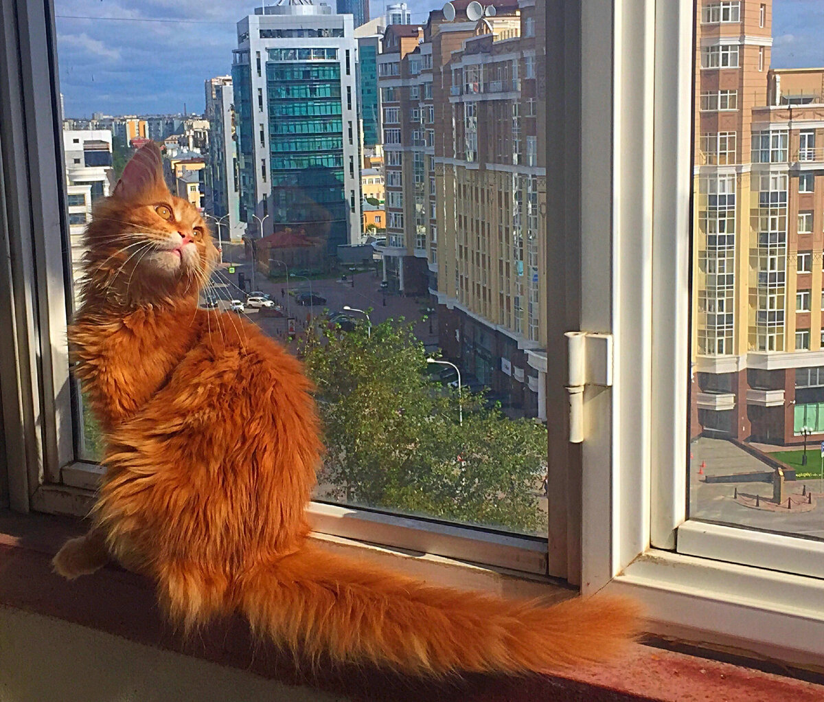 Источник: Яндекс картинки