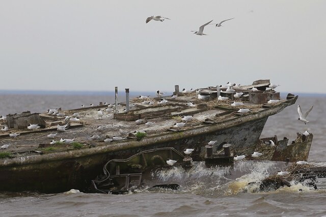    Талабские острова Фото:  АиФ