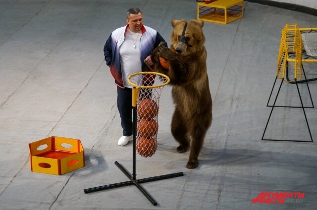    Фото:  АиФ/ Татьяна Титова