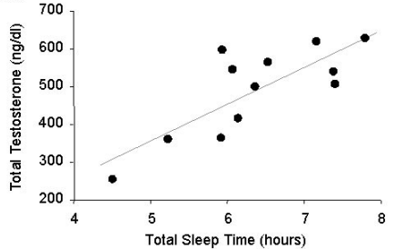 Чем меньше спит мужчина, тем ниже утром его уровень тестостерона.