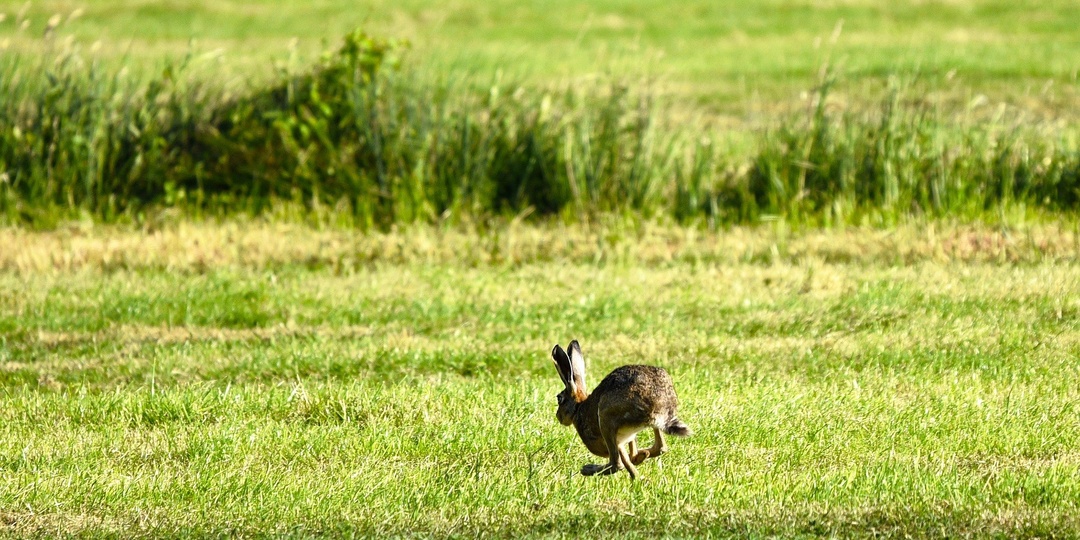 Наркоманские профессии