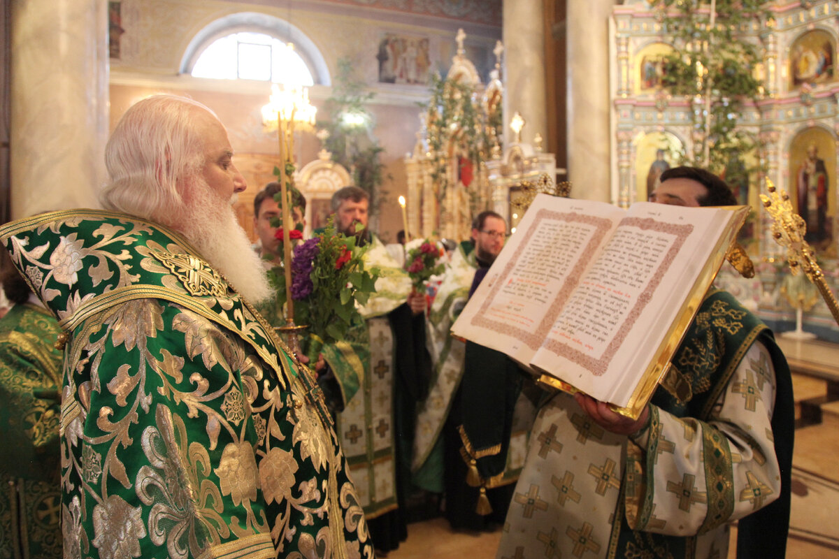 Липецк Христо Рождественский кафедральный собор