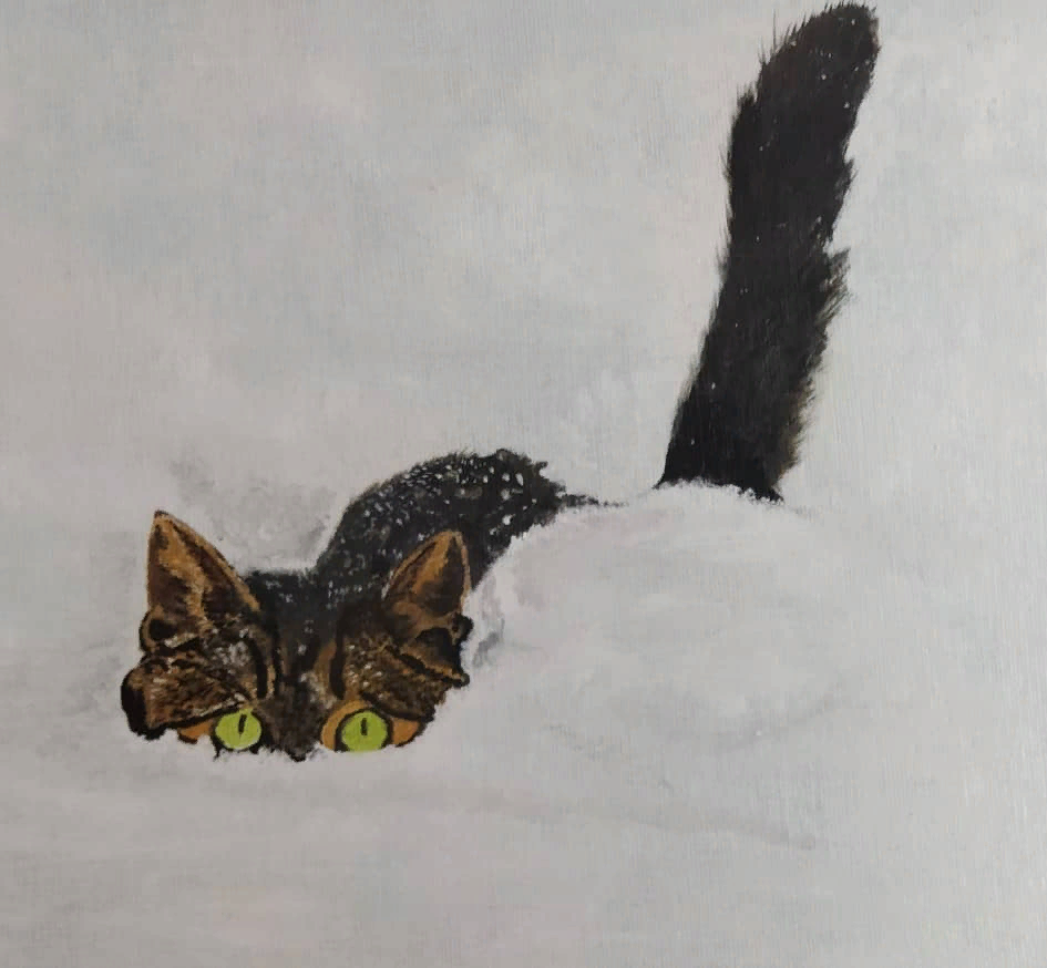 ���������  ���������. ��������������