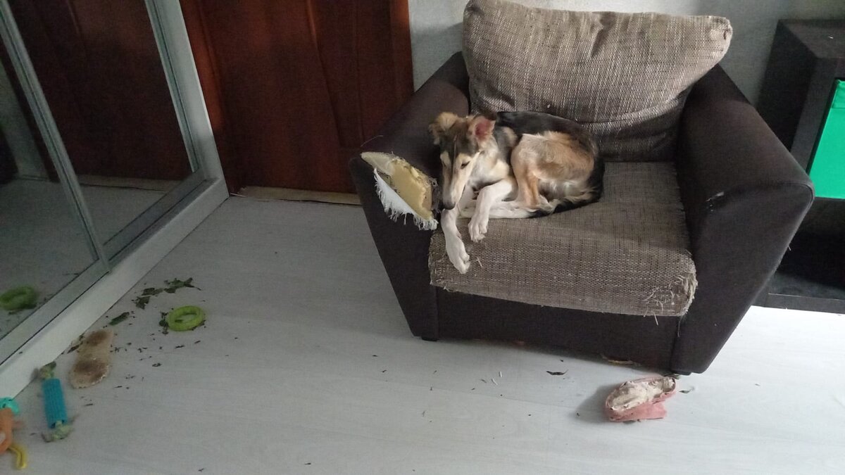 Черу уставший после трудов