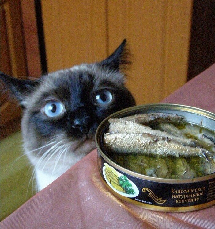 Источник: Яндекс картинки