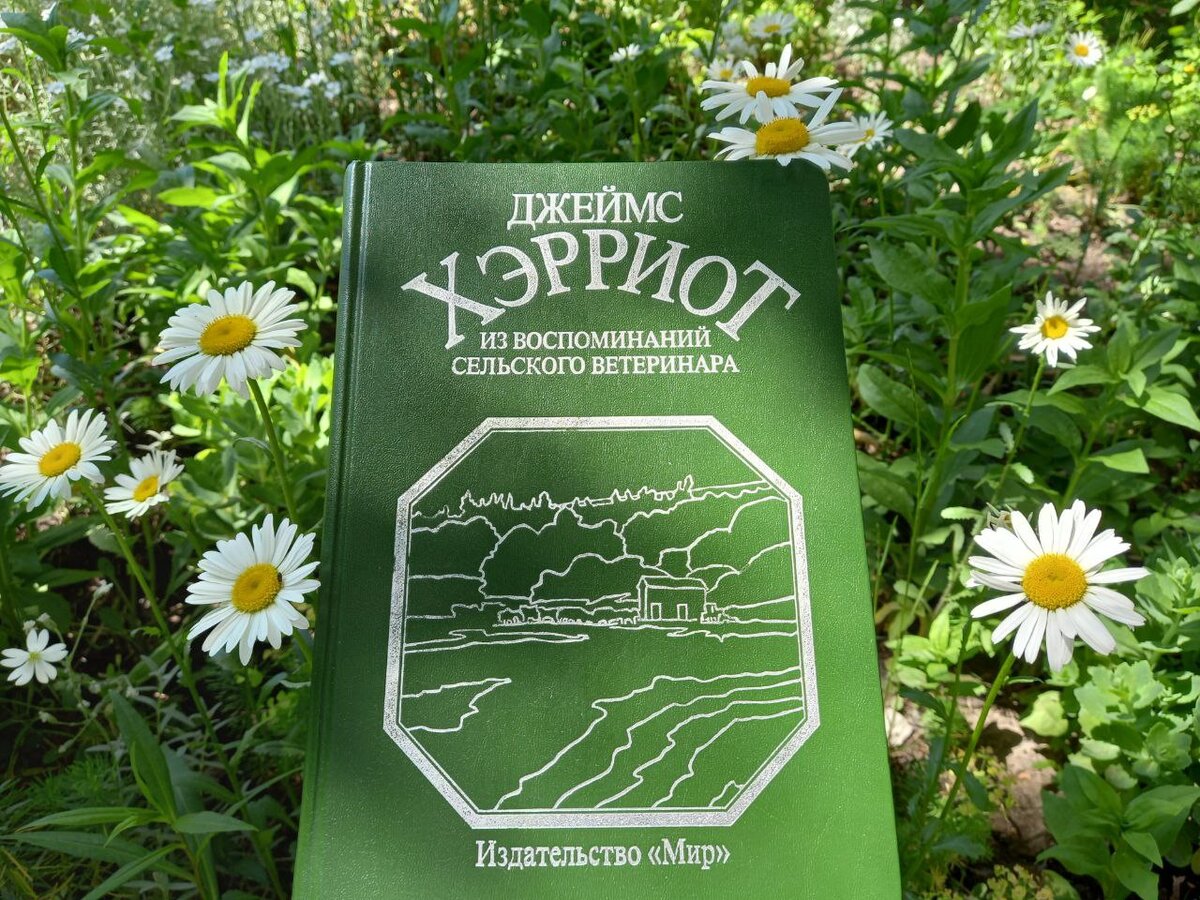 Вот оно, правильное издание!
