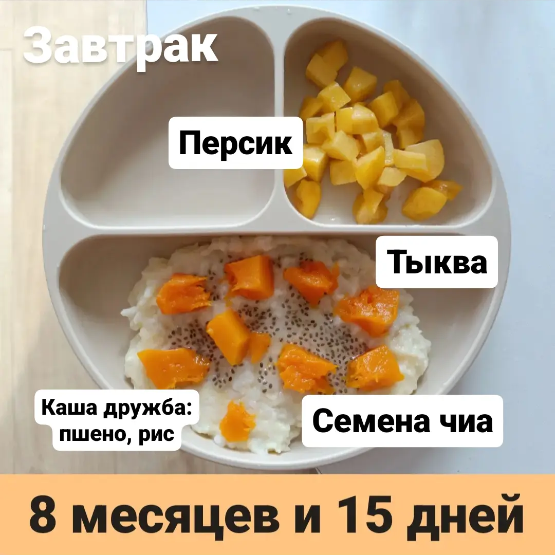 Пример тарелки в 8 месяцев 