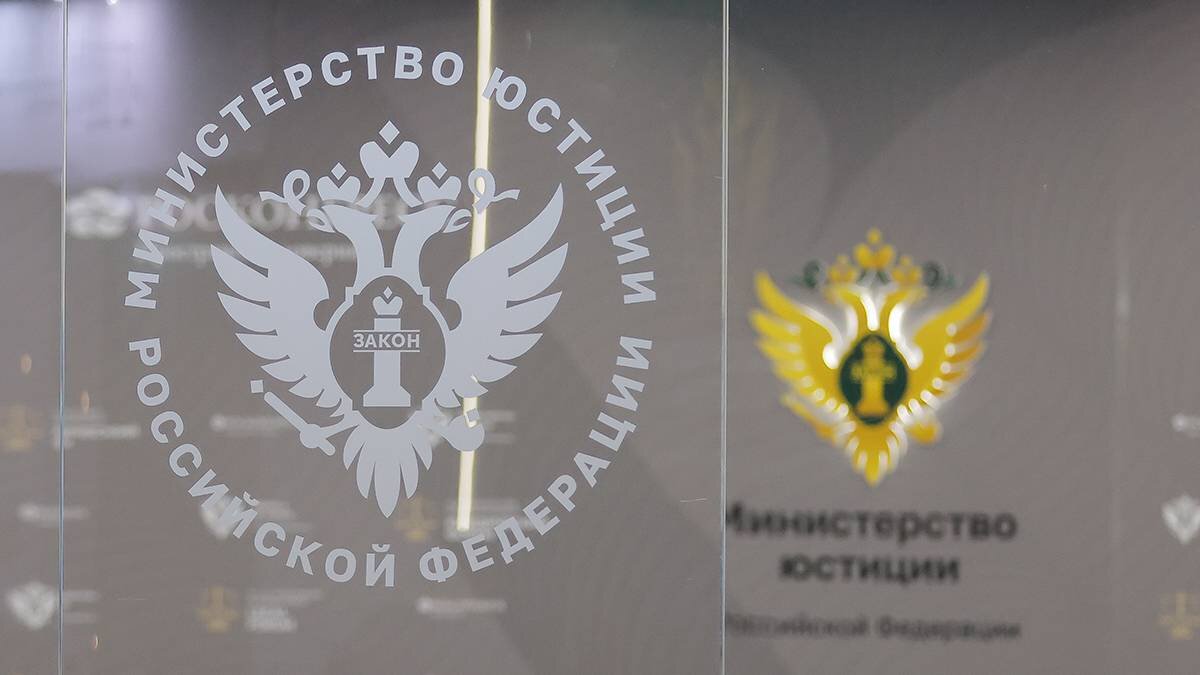 Реестр иноагентов 2025 минюст. Реестр иноагентов. фото иноагентов в россии 2025. фото иноагентов в россии. фото иноагентов.