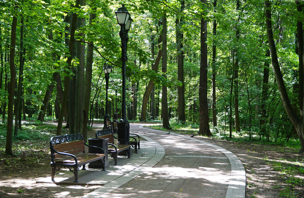 Ворошиловский парк москва. Аллея парк видео. Аллея парк видео. Парки северное тушино. Аллея парк видео.