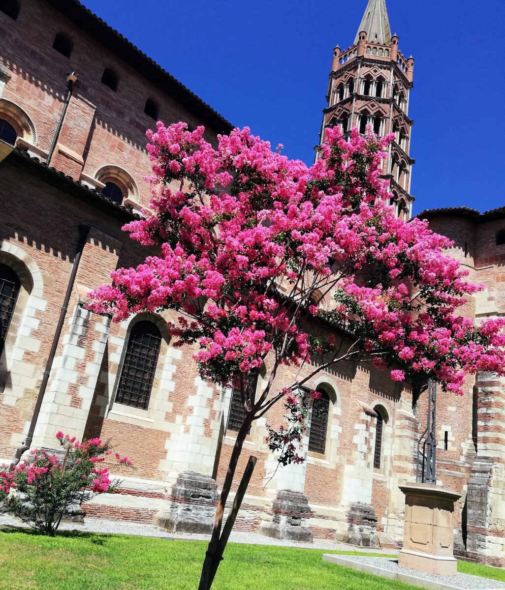 БАЗИЛИКА SAINT SERNIN. ТУЛУЗА. ФРАНЦИЯ