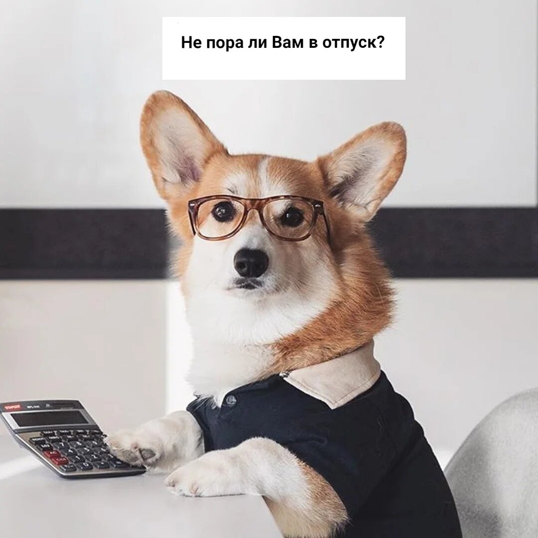 День «Возьми собаку на работу»